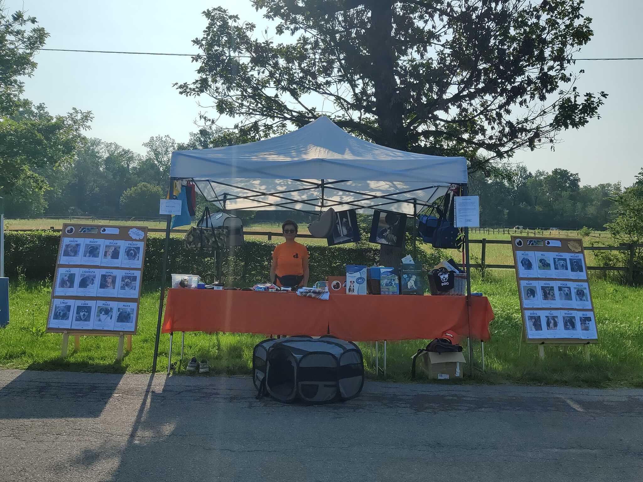 Foto di un banchetto informativo di Salva La Zampa in una giornata di sole