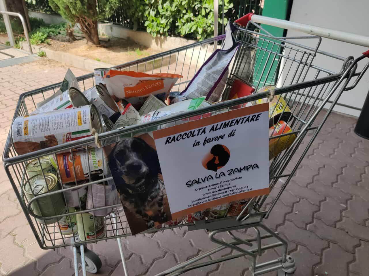 Foto di un carrello pieno di cibo per cani, con un foglietto di Salva La Zampa sul lato