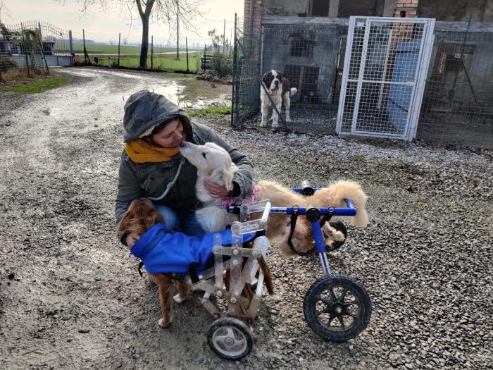 Foto di MOIRA