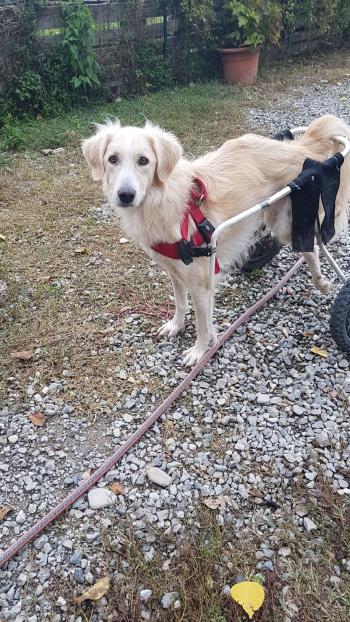 Foto di MOIRA