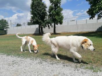 Foto di POKER