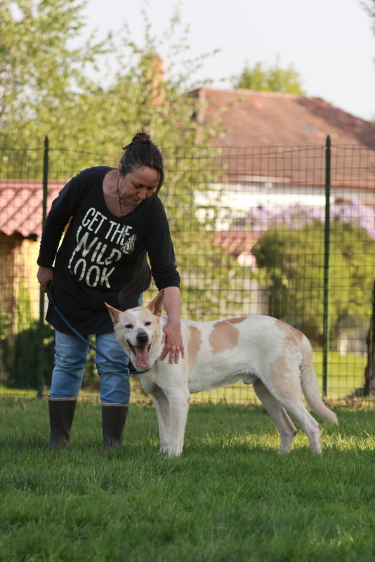 Foto di POKER