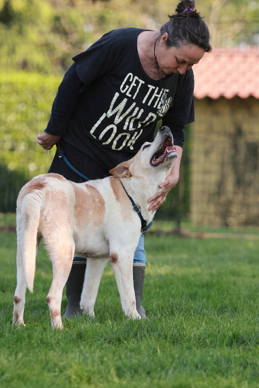 Foto di POKER