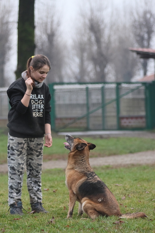 Foto di BAGHERA
