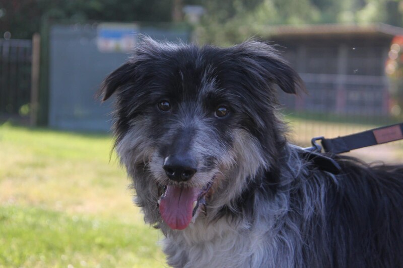 Foto di ZIGGY
