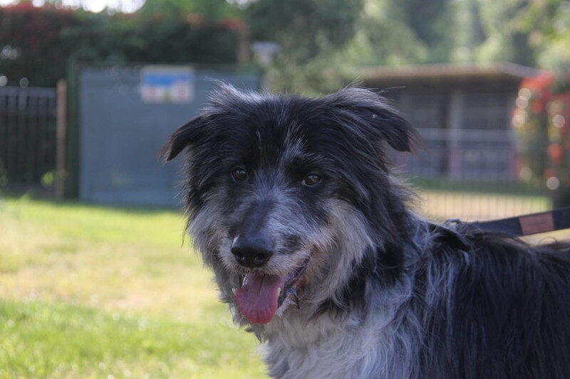 Foto di ZIGGY