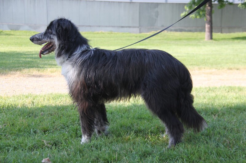 Foto di ZIGGY