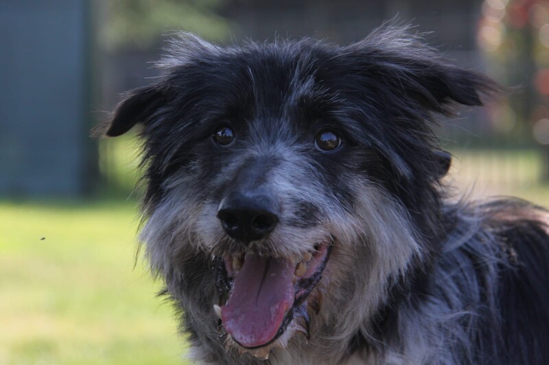 Foto di ZIGGY