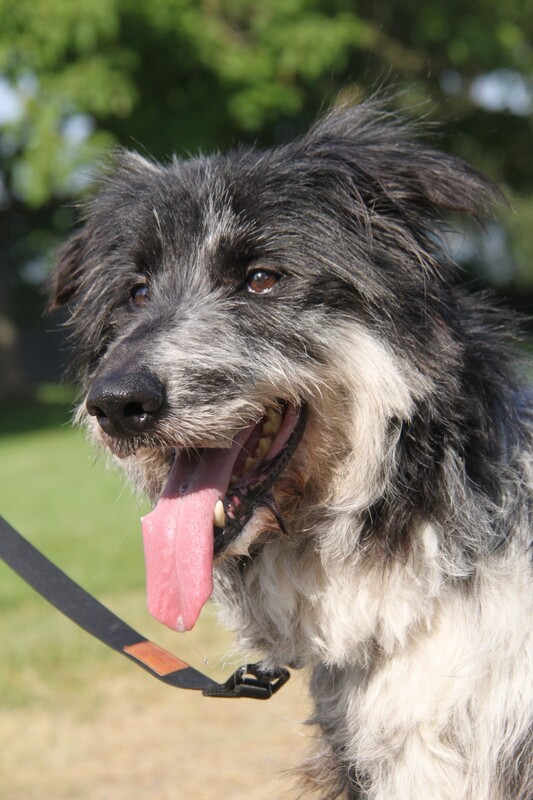 Foto di ZIGGY