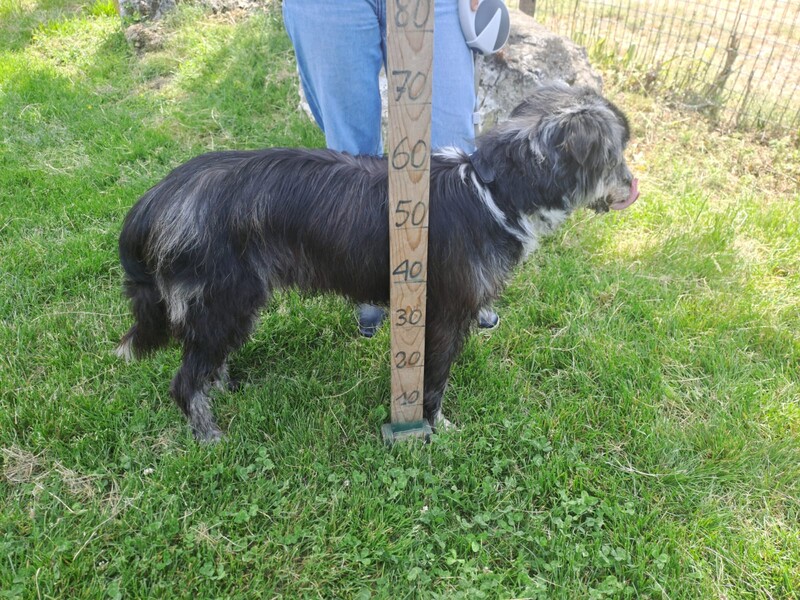 Foto di ZIGGY