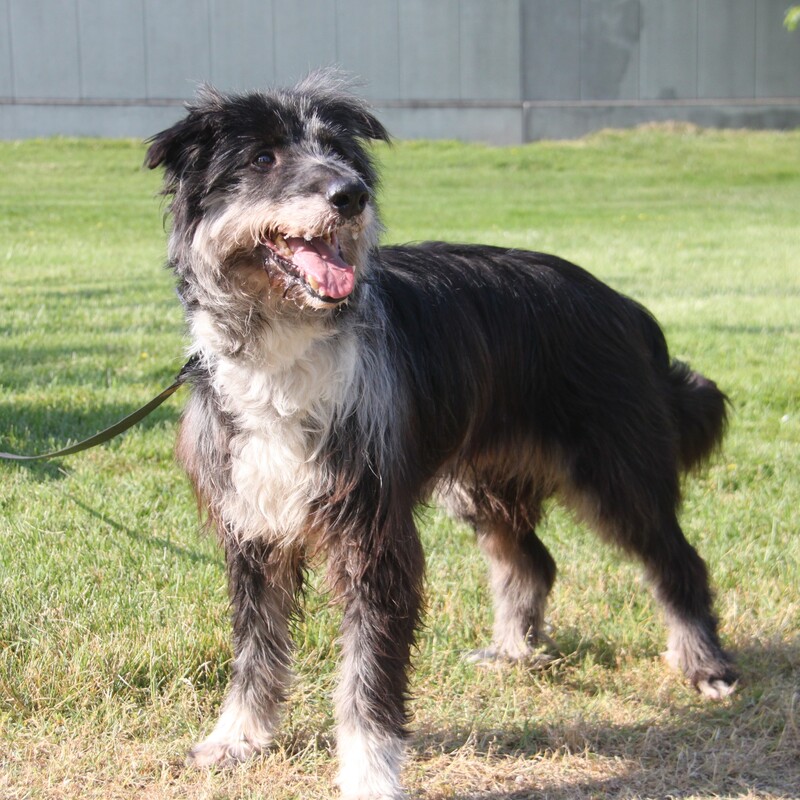 Foto di ZIGGY