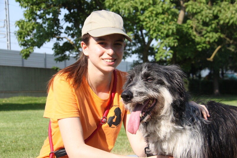 Foto di ZIGGY