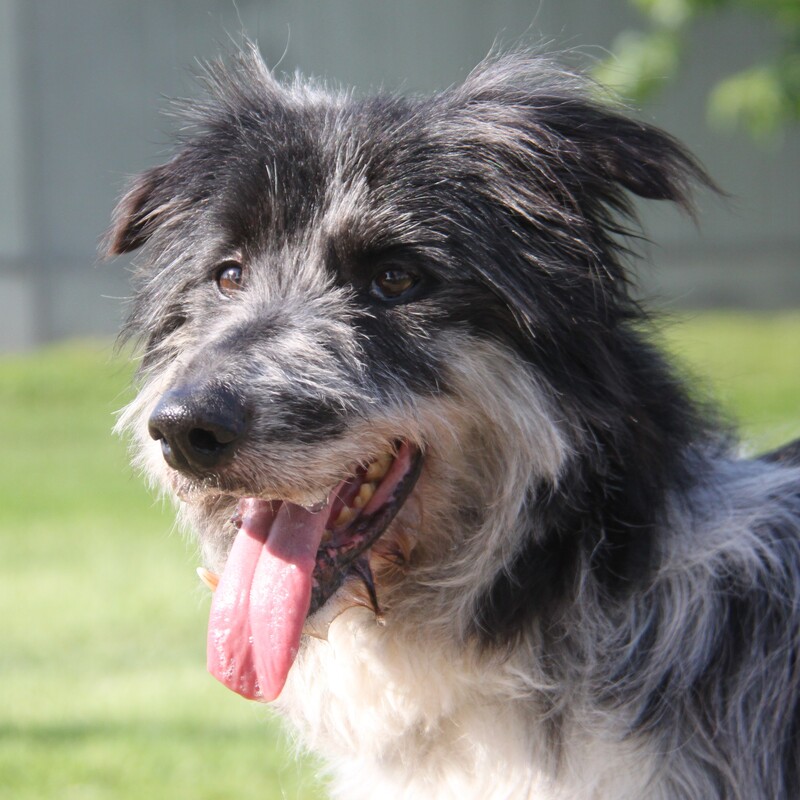 Foto di ZIGGY