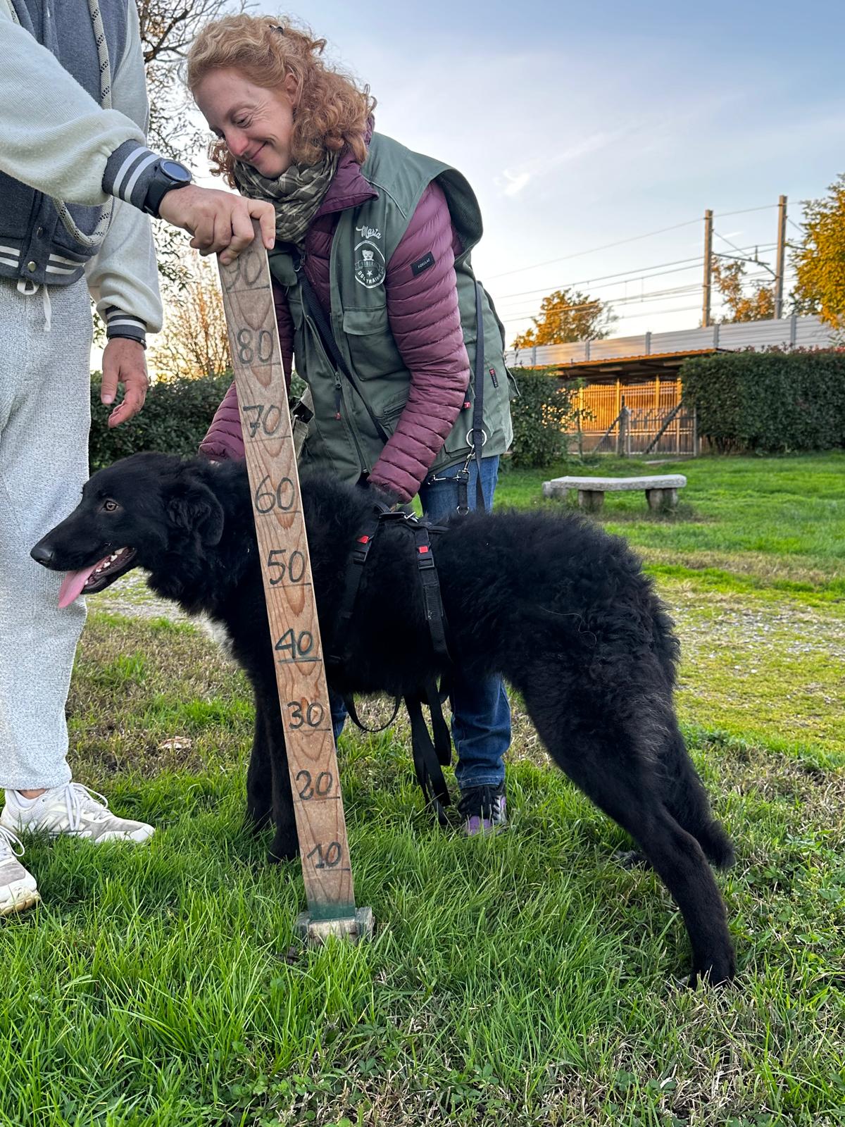 Foto di BIRBO