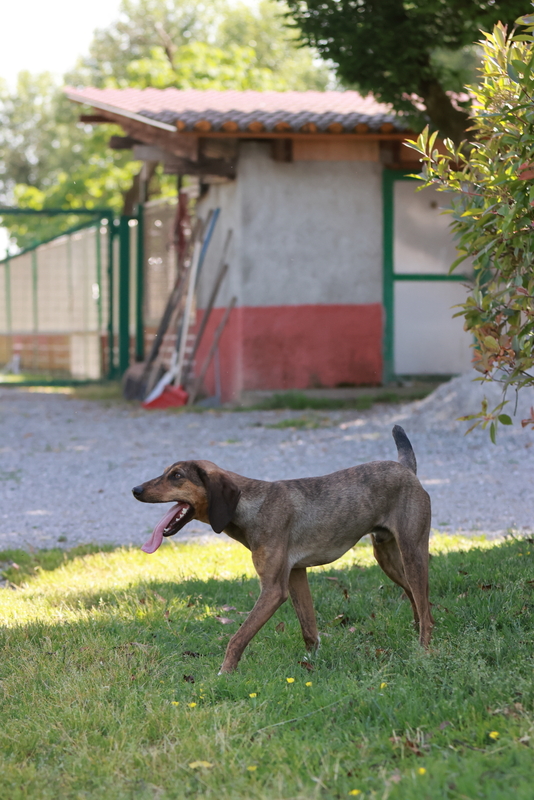 Foto di MUFFIN