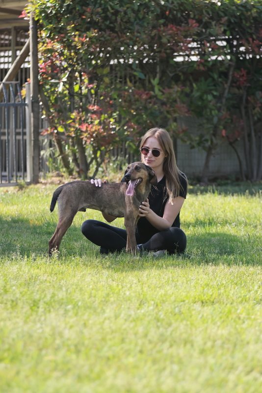 Foto di MUFFIN