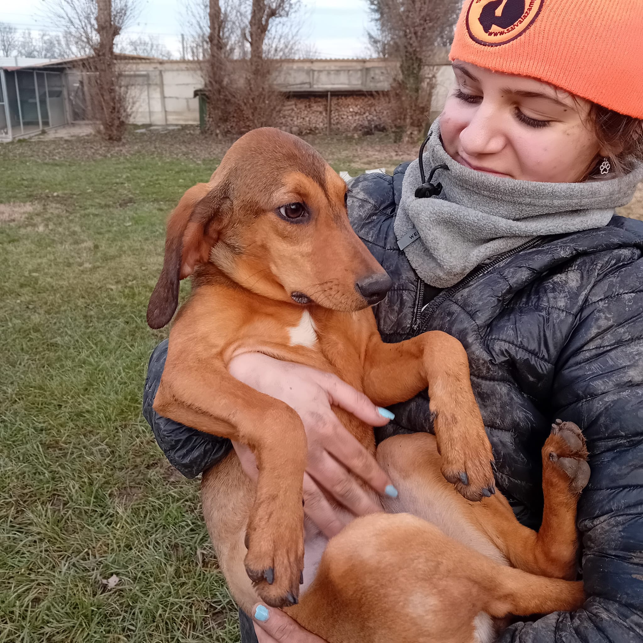 Foto di PRALINA