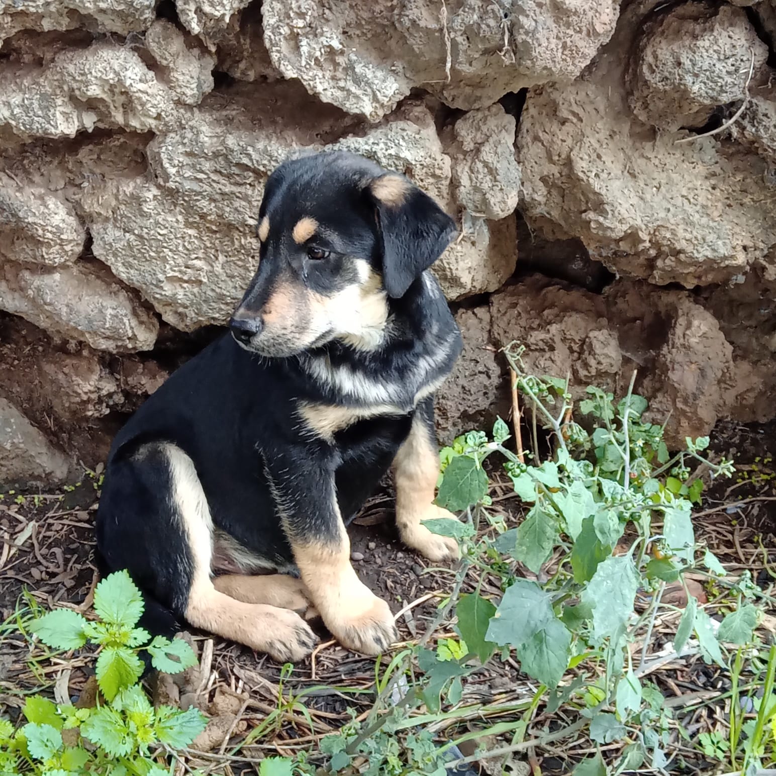 Foto di MARVIN
