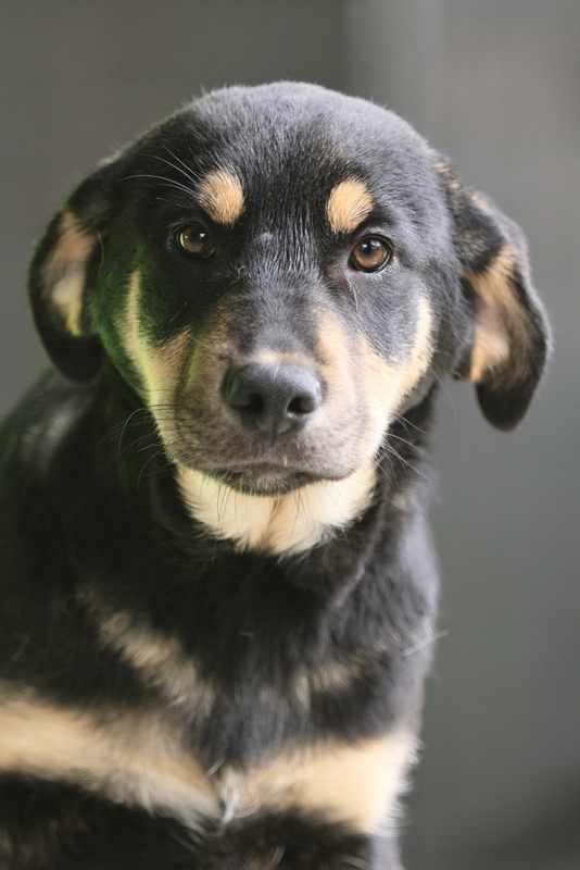 Foto di MARVIN