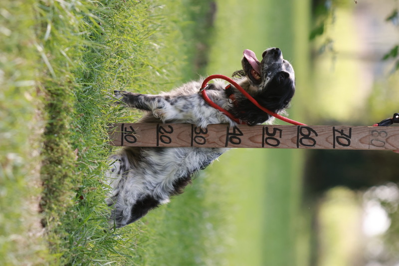 Foto di NANA
