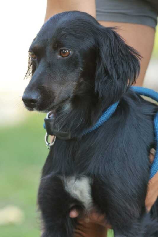 Foto di NERINA