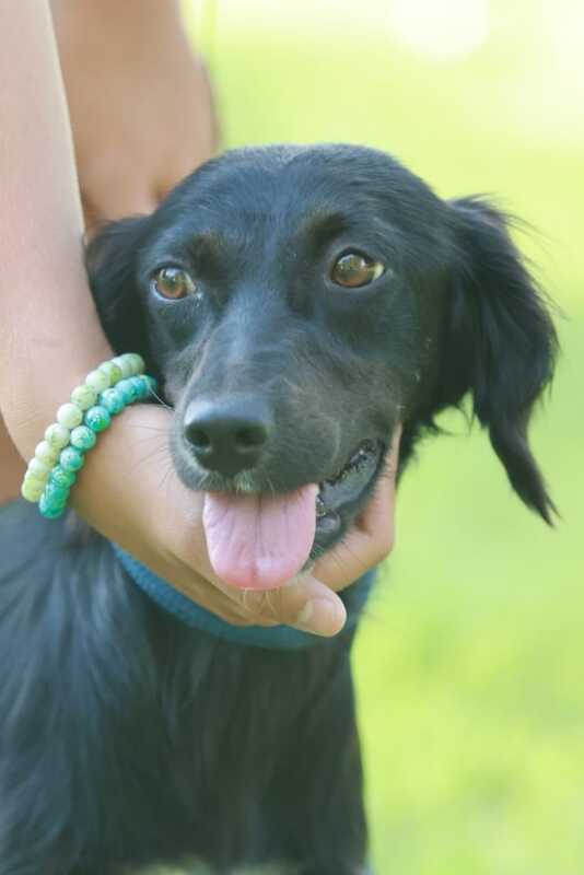 Foto di NERINA