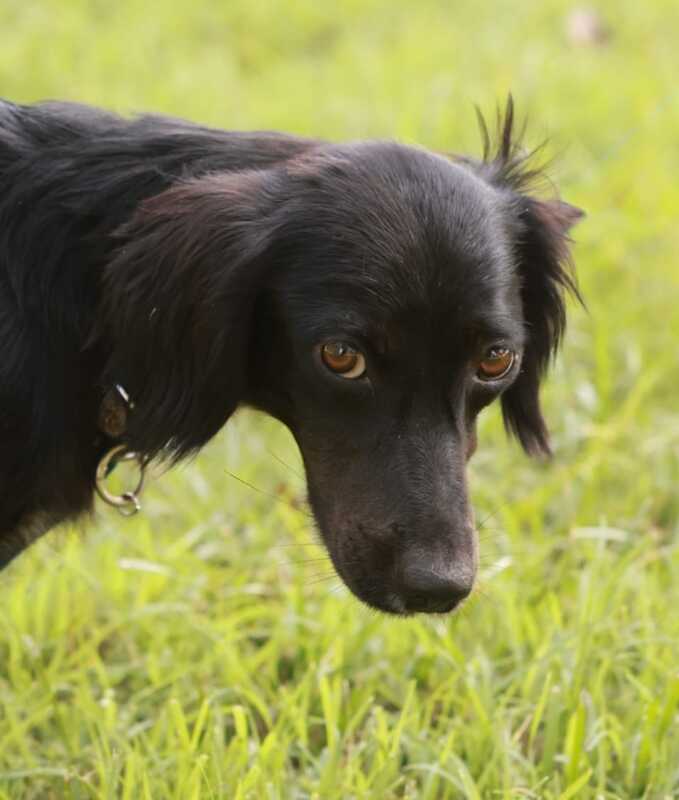 Foto di NERINA